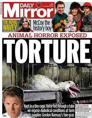 Enquête L214 sur le foie gras en Une du Daily Mirror